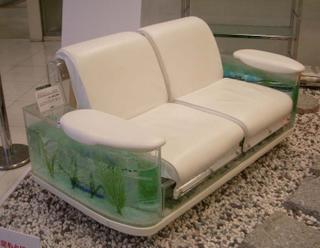 aquarium sofa aquarium sofa