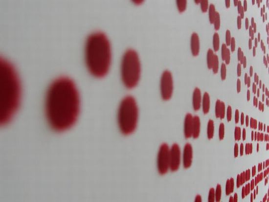 braille wallpaper  01