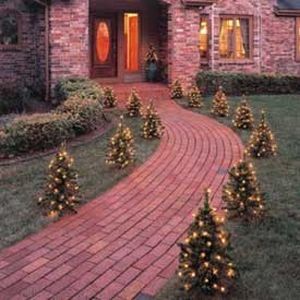 christmas trees