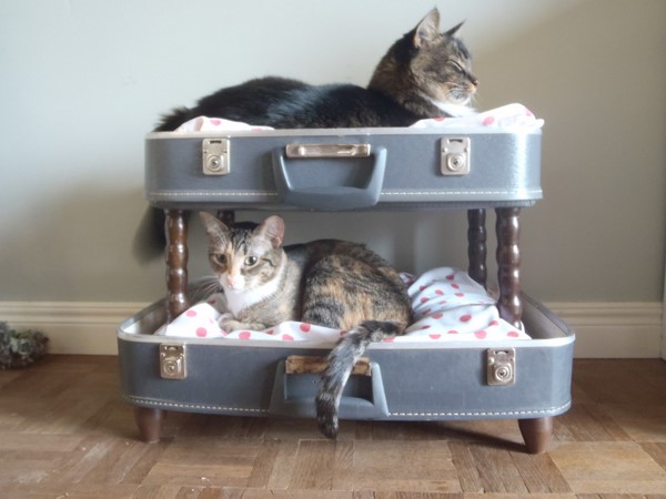 Double Bed in Suitcase for pets Double Bed in Suitcase for pets