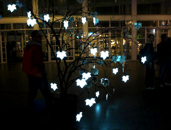 etree 005