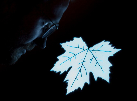 etree 010