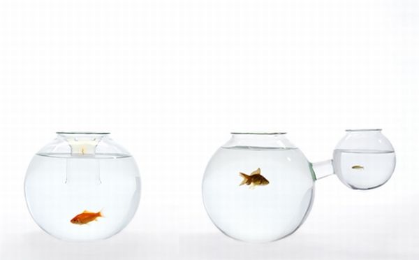 Fish Bowls by Roger Arquer Fish Bowls by Roger Arquer