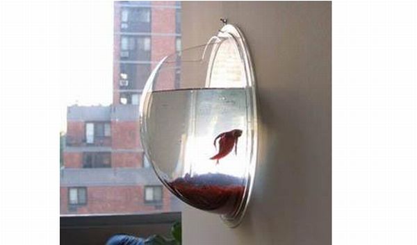 Hanging Fish Pod Hanging Fish Pod