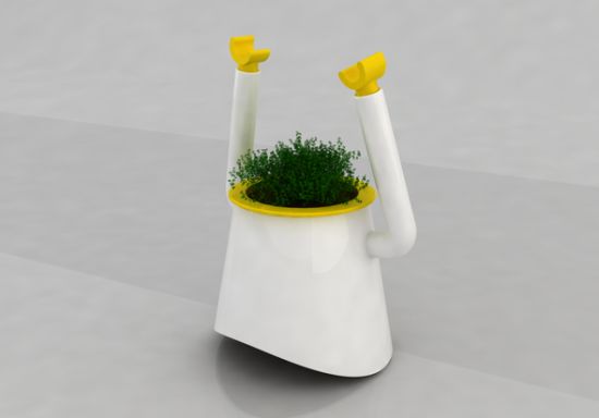 little garden 02
