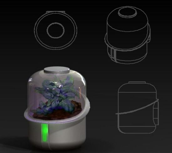mini greenhouse