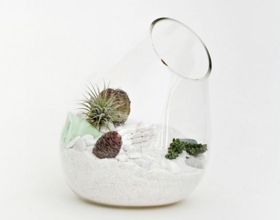 mini terrarium litil4l