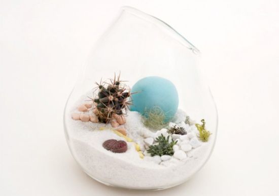 mini terrarium litill1