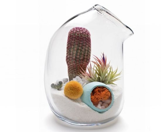 mini terrarium litill2