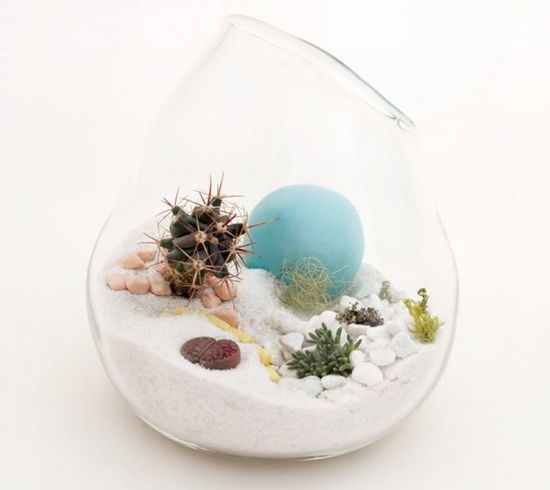 mini terrarium litill3