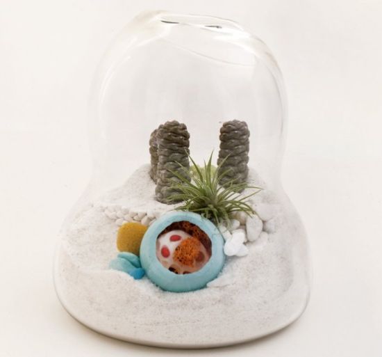 mini terrarium litill4