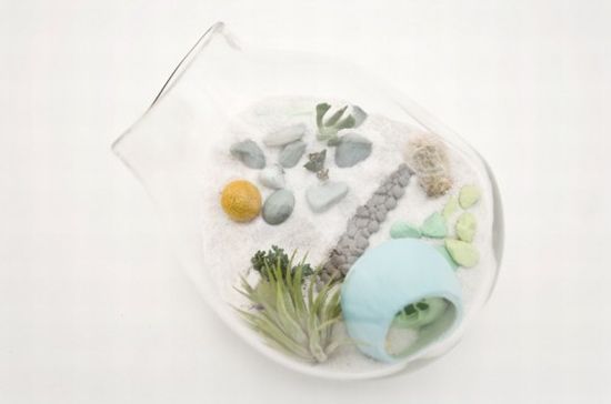 mini terrarium litill5