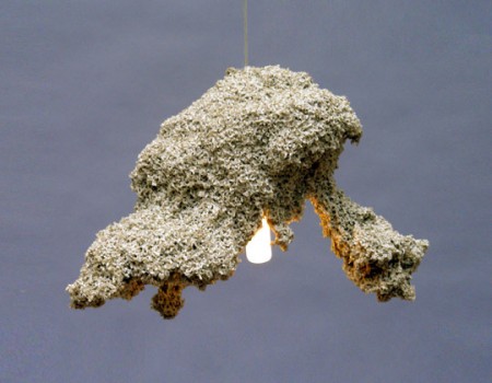 oswine lamp by johannes hemann 2008 form generated oswine lamp by johannes hemann 2008 form generated