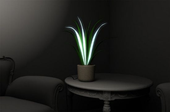 plamp2
