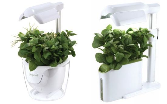 plant grower