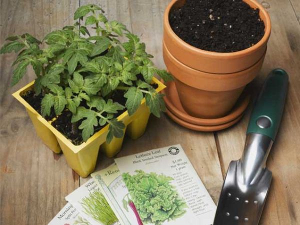 Planting Planting