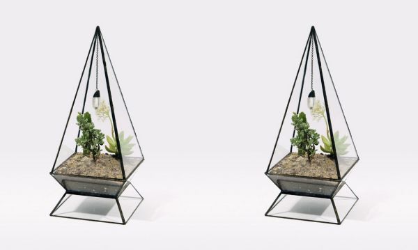 Sculptural planters