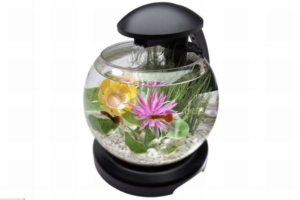 Tetra 1.8 Gallon Waterfall Globe Aquarium Kit Tetra 1.8 Gallon Waterfall Globe Aquarium Kit