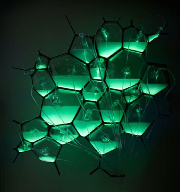 The bio-lights The bio-lights