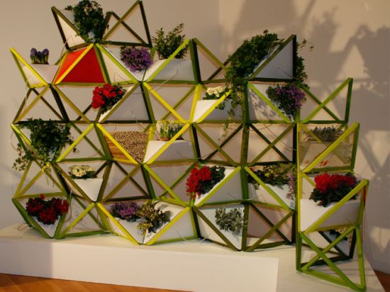 verticulture verticulture
