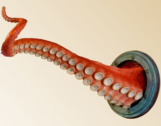 wall tentacle 2 wall tentacle 2