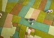 3d farmville carpet 02