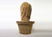 Cardboard cactus