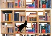 cat friendly