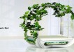 ecotypic bed