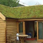 How to make your home energy efficient