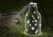 firefly lamp