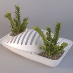 Fluidity dish rack planter lets you own a mini kitchen garden