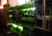 Green Kitchen