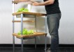 grow cycle