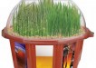 grow your own beer garden 1