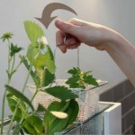 Grow Tank indoor living food system by Sophia Nicholson