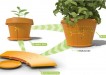 Growing pot