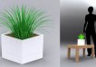 House Plant Container