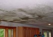 How to Prevent Water Damage at Home
