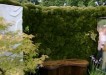 Indoor wall gardens