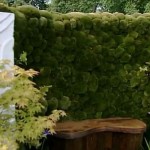 Eight indoor wall gardens for modern urban spaces
