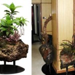Kenrock Volcanic Rock Planters give plants a fresh breezy life