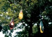 light 1