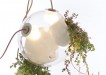 Living planter chandelier combines lighting with cacti