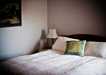 Organic ways to get rid of bed bugs