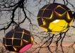 Outdoor Lightings