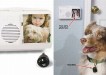 Pets gadgets