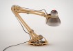 rhizome wooden lamp 2