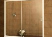 Shower door