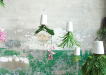 Sky Planters